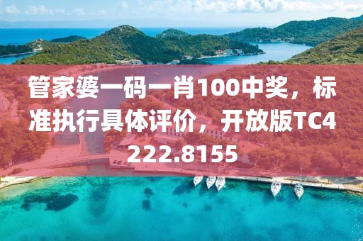 管家婆一码一肖100中奖，标准执行具体评价，开放版TC4222.8155
