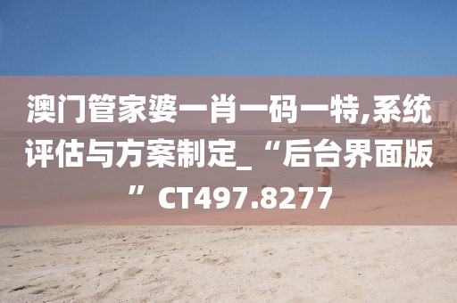 澳门管家婆一肖一码一特,系统评估与方案制定_“后台界面版”CT497.8277