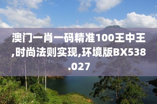 澳门一肖一码精准100王中王,时尚法则实现,环境版BX538.027