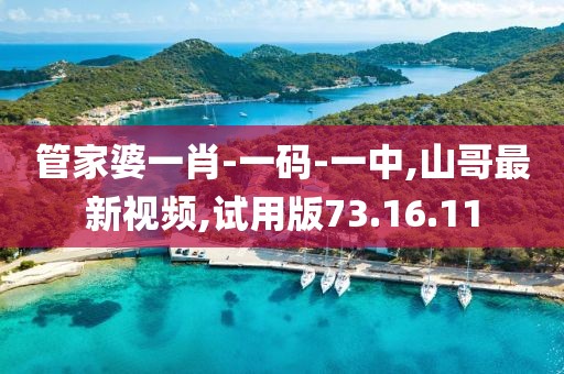 管家婆一肖-一码-一中,山哥最新视频,试用版73.16.11