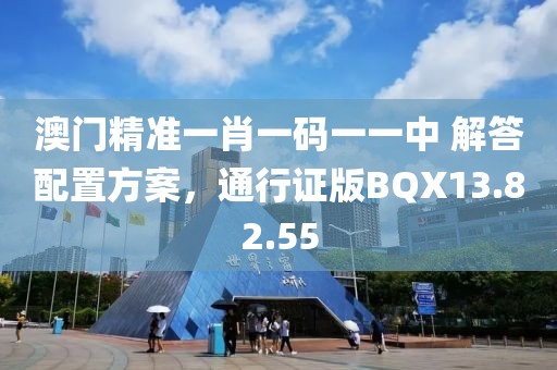 澳门精准一肖一码一一中 解答配置方案，通行证版BQX13.82.55