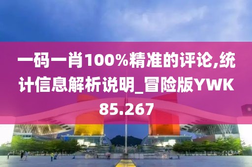 一码一肖100%精准的评论,统计信息解析说明_冒险版YWK85.267