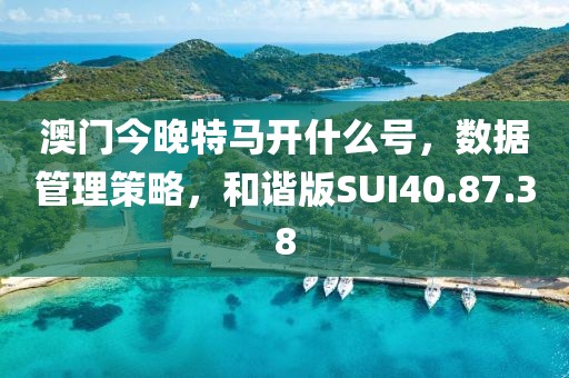 澳门今晚特马开什么号，数据管理策略，和谐版SUI40.87.38
