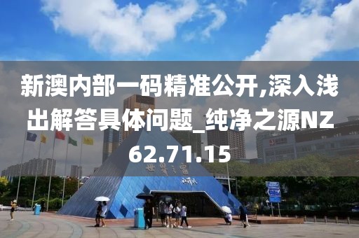 新澳内部一码精准公开,深入浅出解答具体问题_纯净之源NZ62.71.15