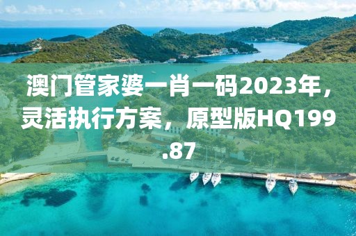 澳门管家婆一肖一码2023年，灵活执行方案，原型版HQ199.87