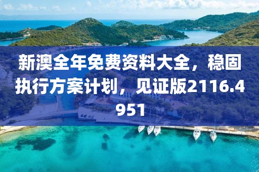 新澳全年免费资料大全，稳固执行方案计划，见证版2116.4951
