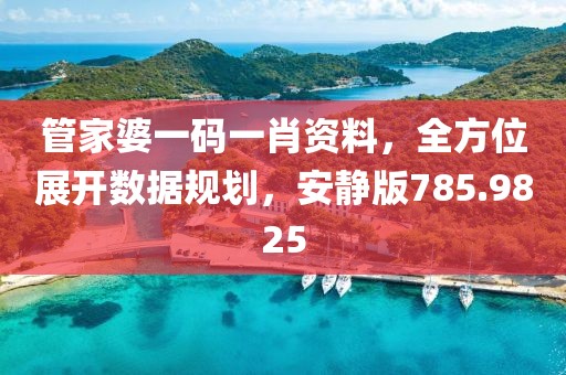 管家婆一码一肖资料，全方位展开数据规划，安静版785.9825