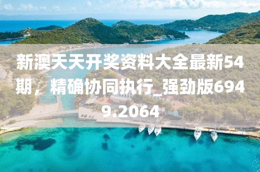 新澳天天开奖资料大全最新54期，精确协同执行_强劲版6949.2064