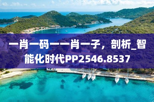 一肖一码一一肖一子，剖析_智能化时代PP2546.8537