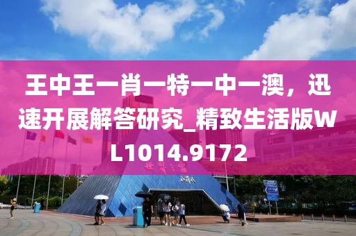 王中王一肖一特一中一澳，迅速开展解答研究_精致生活版WL1014.9172