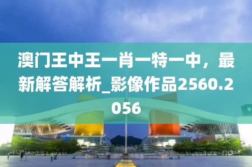 澳门王中王一肖一特一中，最新解答解析_影像作品2560.2056