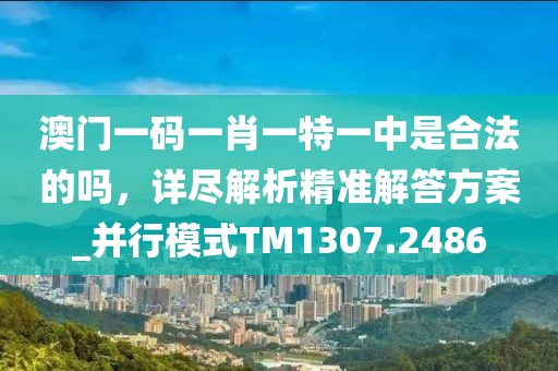澳门一码一肖一特一中是合法的吗，详尽解析精准解答方案_并行模式TM1307.2486