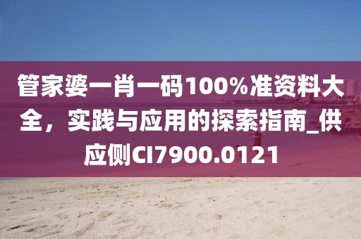 管家婆一肖一码100%准资料大全，实践与应用的探索指南_供应侧CI7900.0121