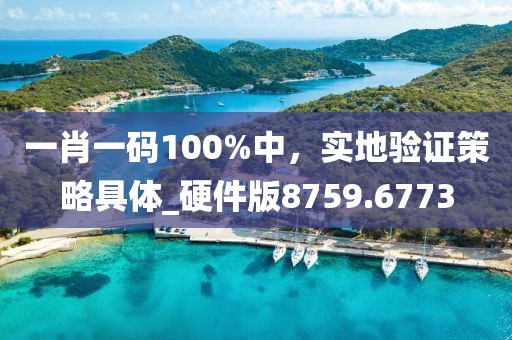 一肖一码100%中，实地验证策略具体_硬件版8759.6773