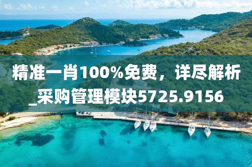 精准一肖100%免费，详尽解析_采购管理模块5725.9156