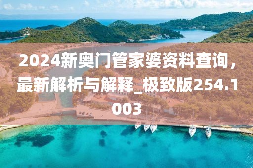 2024新奥门管家婆资料查询，最新解析与解释_极致版254.1003