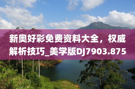 新奥好彩免费资料大全，权威解析技巧_美学版DJ7903.875