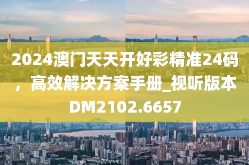 2024澳门天天开好彩精准24码，高效解决方案手册_视听版本DM2102.6657