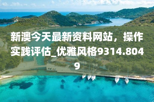 新澳今天最新资料网站，操作实践评估_优雅风格9314.8049