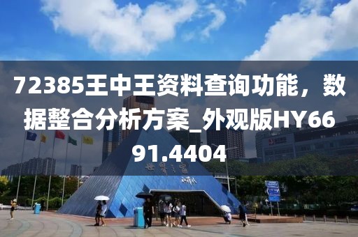72385王中王资料查询功能，数据整合分析方案_外观版HY6691.4404