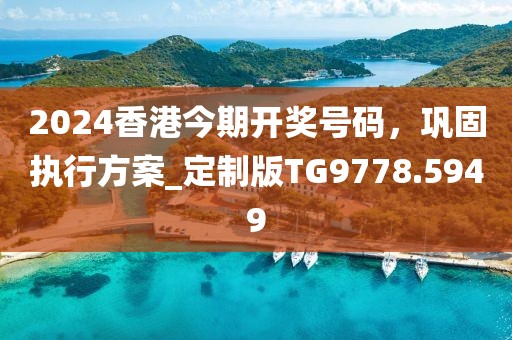 2024香港今期开奖号码，巩固执行方案_定制版TG9778.5949