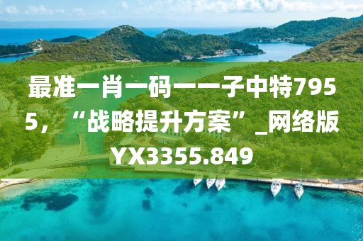 最准一肖一码一一子中特7955，“战略提升方案”_网络版YX3355.849