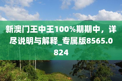 新澳门王中王100%期期中，详尽说明与解释_专属版8565.0824
