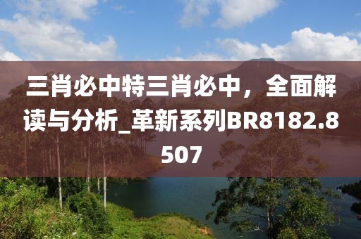 三肖必中特三肖必中，全面解读与分析_革新系列BR8182.8507