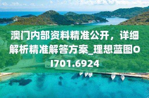 澳门内部资料精准公开，详细解析精准解答方案_理想蓝图OI701.6924
