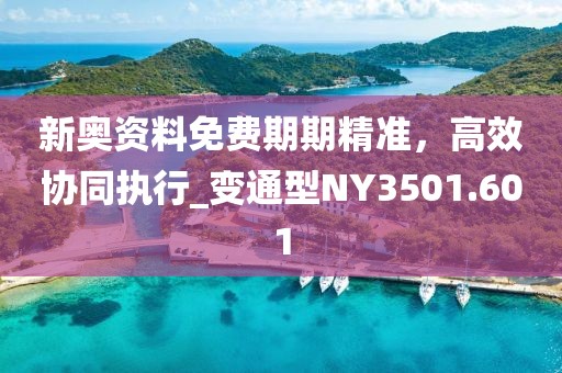 新奥资料免费期期精准，高效协同执行_变通型NY3501.601
