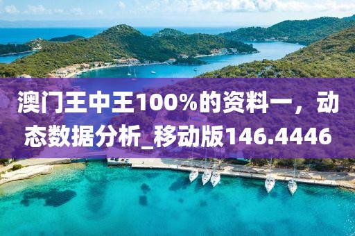 澳门王中王100%的资料一，动态数据分析_移动版146.4446