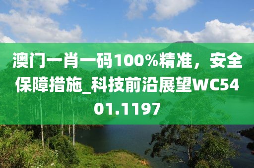 澳门一肖一码100%精准，安全保障措施_科技前沿展望WC5401.1197