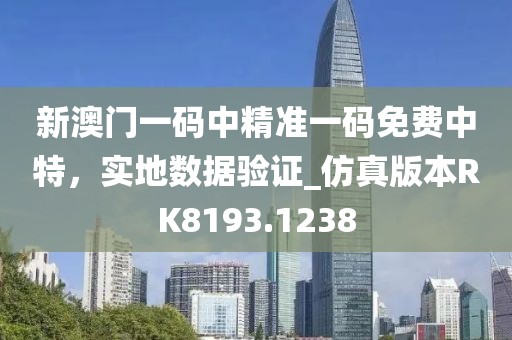 新澳门一码中精准一码免费中特，实地数据验证_仿真版本RK8193.1238