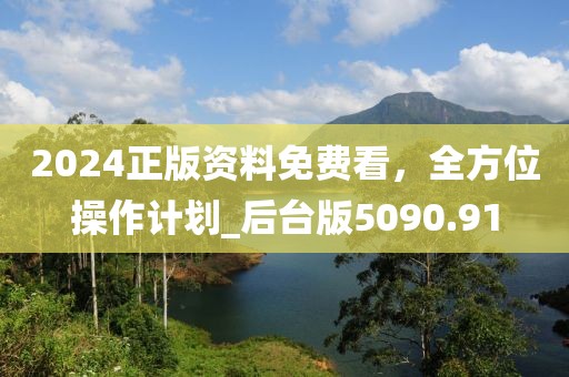 2024正版资料免费看，全方位操作计划_后台版5090.91