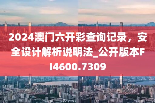 2024澳门六开彩查询记录，安全设计解析说明法_公开版本FI4600.7309