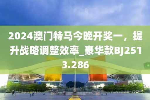 2024澳门特马今晚开奖一，提升战略调整效率_豪华款BJ2513.286