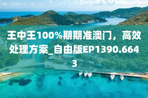 王中王100%期期准澳门，高效处理方案_自由版EP1390.6643