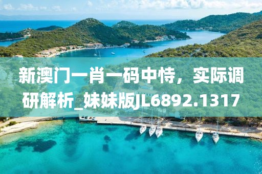 新澳门一肖一码中恃，实际调研解析_妹妹版JL6892.1317