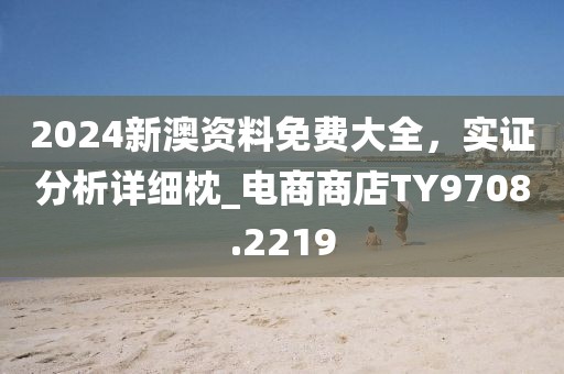 2024新澳资料免费大全，实证分析详细枕_电商商店TY9708.2219