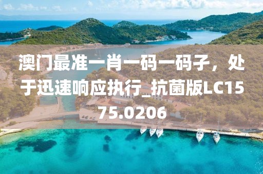 澳门最准一肖一码一码孑，处于迅速响应执行_抗菌版LC1575.0206