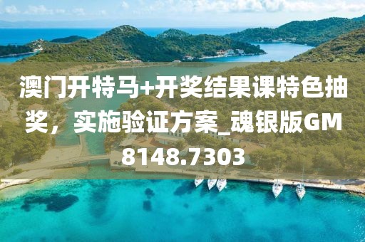 澳门开特马+开奖结果课特色抽奖，实施验证方案_魂银版GM8148.7303