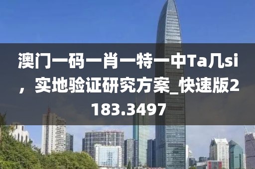 澳门一码一肖一特一中Ta几si，实地验证研究方案_快速版2183.3497