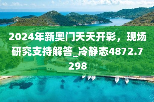 2024年新奥门天天开彩，现场研究支持解答_冷静态4872.7298