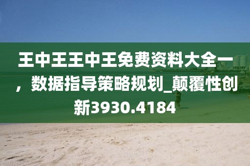 王中王王中王免费资料大全一，数据指导策略规划_颠覆性创新3930.4184