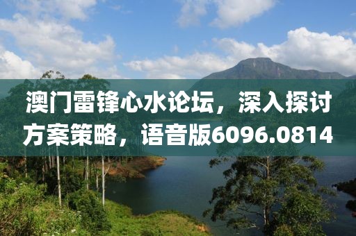 澳门雷锋心水论坛，深入探讨方案策略，语音版6096.0814