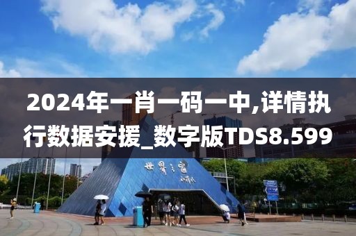 2024年一肖一码一中,详情执行数据安援_数字版TDS8.599