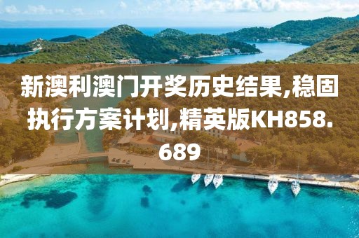 新澳利澳门开奖历史结果,稳固执行方案计划,精英版KH858.689