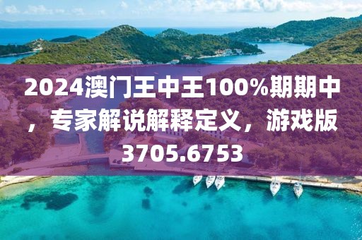 2024澳门王中王100%期期中，专家解说解释定义，游戏版3705.6753