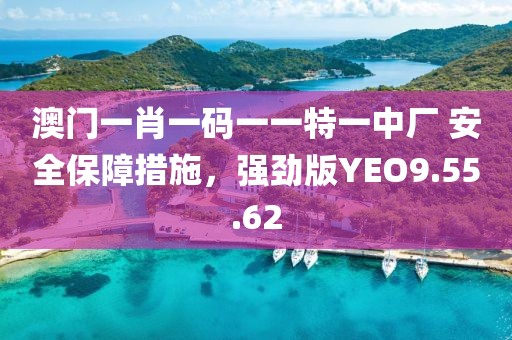 澳门一肖一码一一特一中厂 安全保障措施，强劲版YEO9.55.62