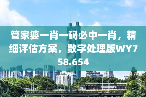 管家婆一肖一码必中一肖，精细评估方案，数字处理版WY758.654